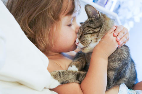 A few ground rules can keep your cat-kid household safe.