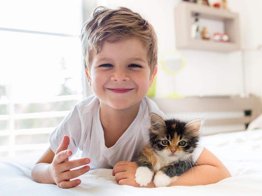 A guide to teaching kids to behave around cats.