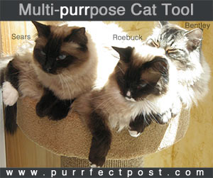 Multi-purrpose Cat Tool