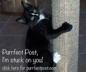 Purrfect Post, I'm stuck on you!