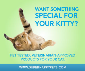 Products for Your Cat Super Happy Pets