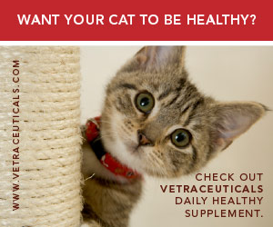 Want Your Cat in Good Health Vetraceuticals